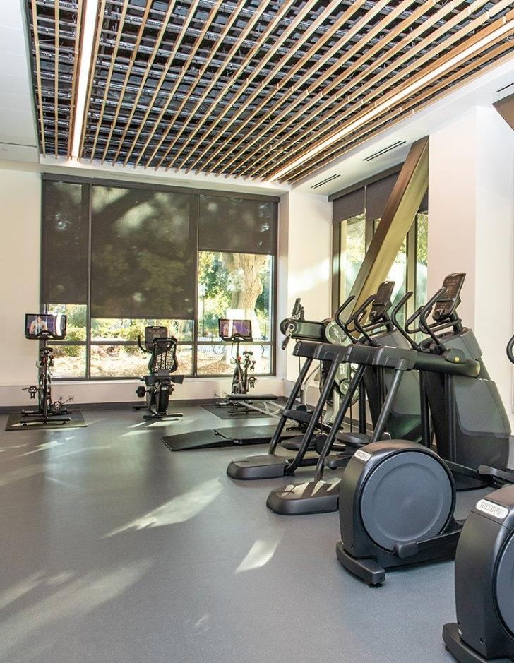 Elliptical Machines in the Center for 体育运动, 娱乐, and Wellness' Draper Fitness Center