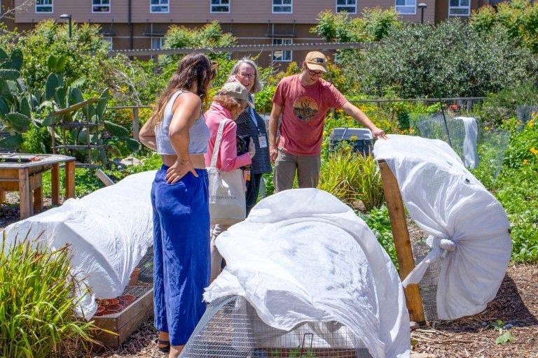 Student Garden